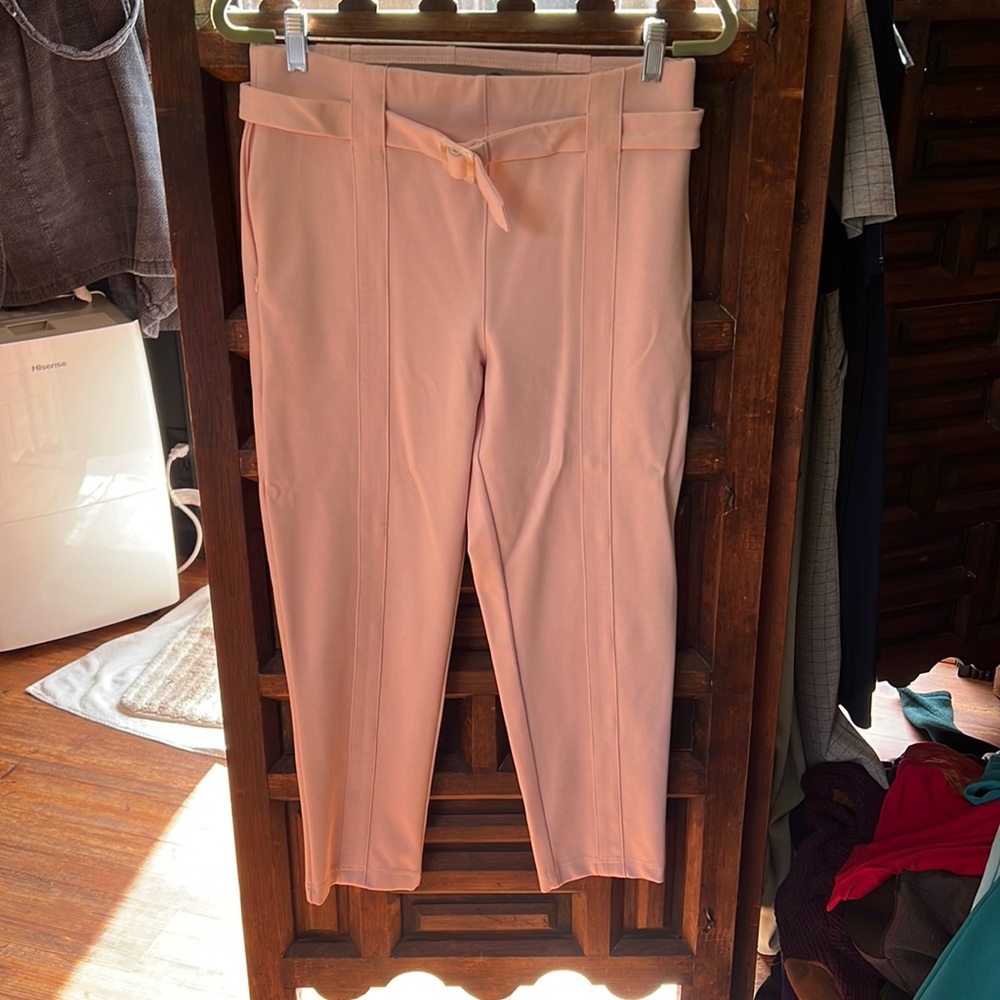 Size Large Betabrand light pink pant